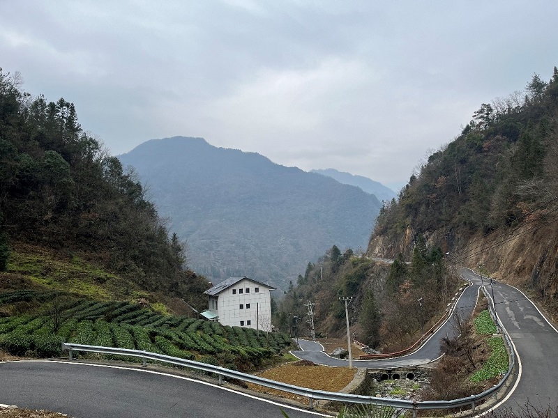 MAIN202301221110000176162766957