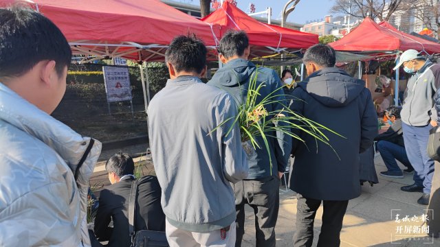 交易火爆!第十三届中国(大理)国际兰花茶花博览会开幕 春城晚报-开屏新闻记者 杨维琦 杨茜 摄影报道10.jpg