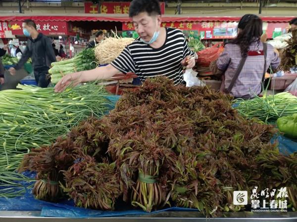 150元/斤！昆明人都爱吃的这一春菜“顶流”开始卖了！网友直呼：吃不起啊……