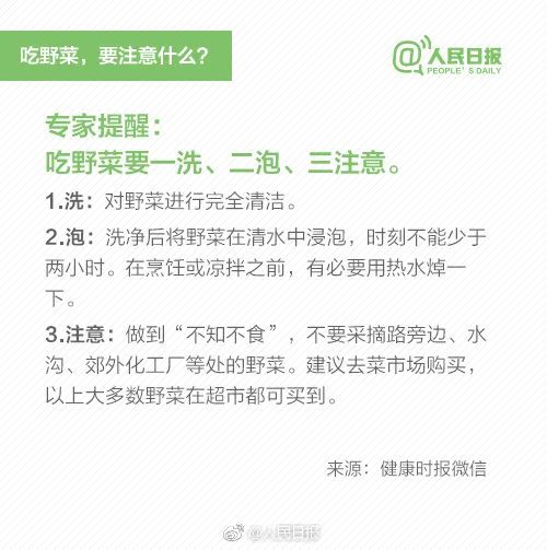 150元/斤！昆明人都爱吃的这一春菜“顶流”开始卖了！网友直呼：吃不起啊……