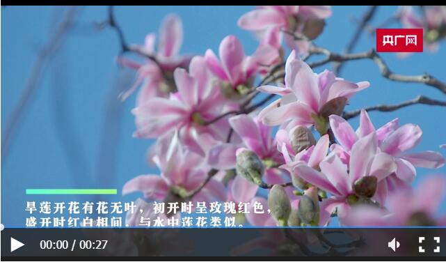 QQ截图20230309155136