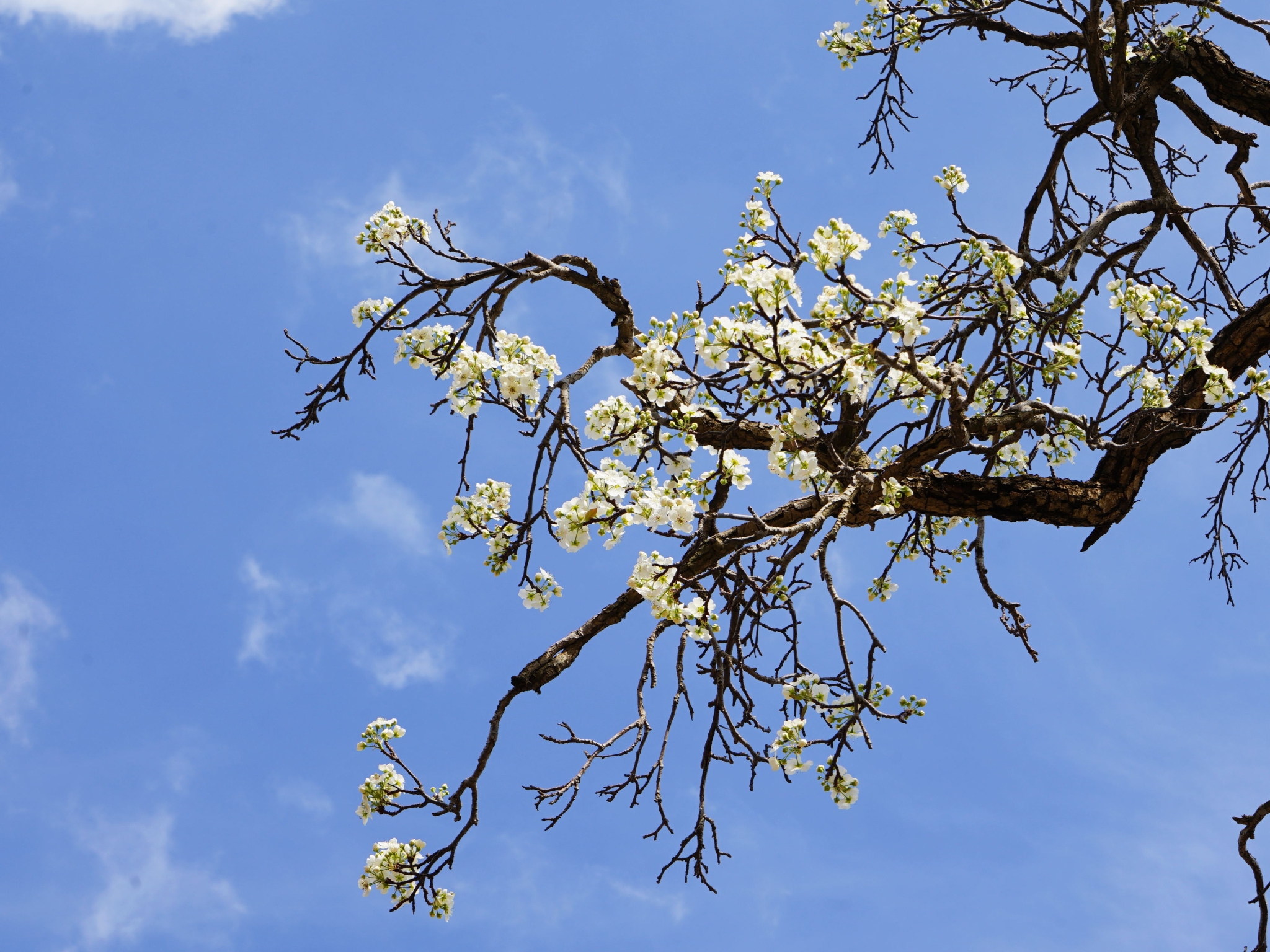 86c6ba389b5b89c9b59b81279622e1a8