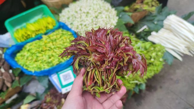 春日上新 这些花都是云南人的餐桌美食1.jpg
