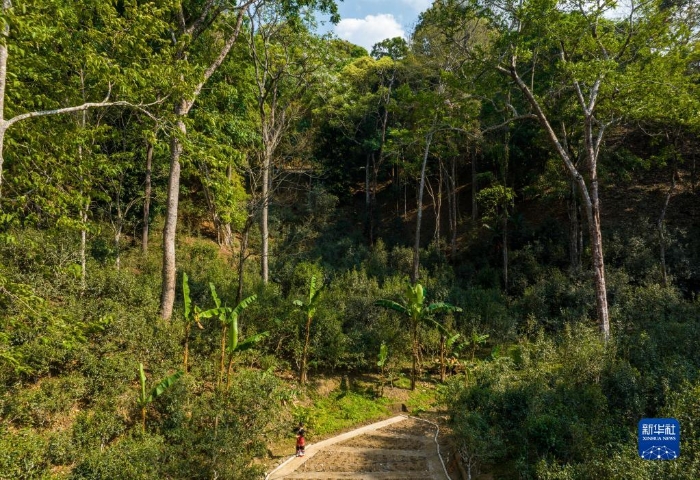 1129464506_16797463441981n