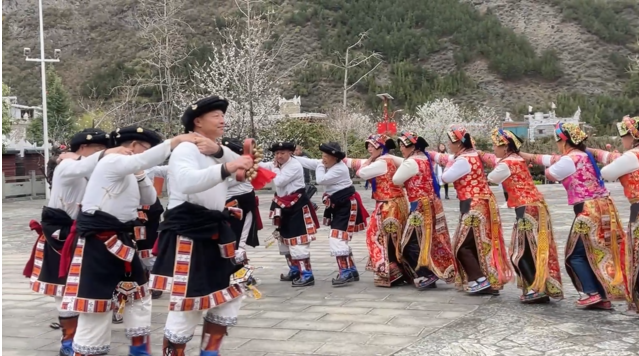 微信截图_20230329173339