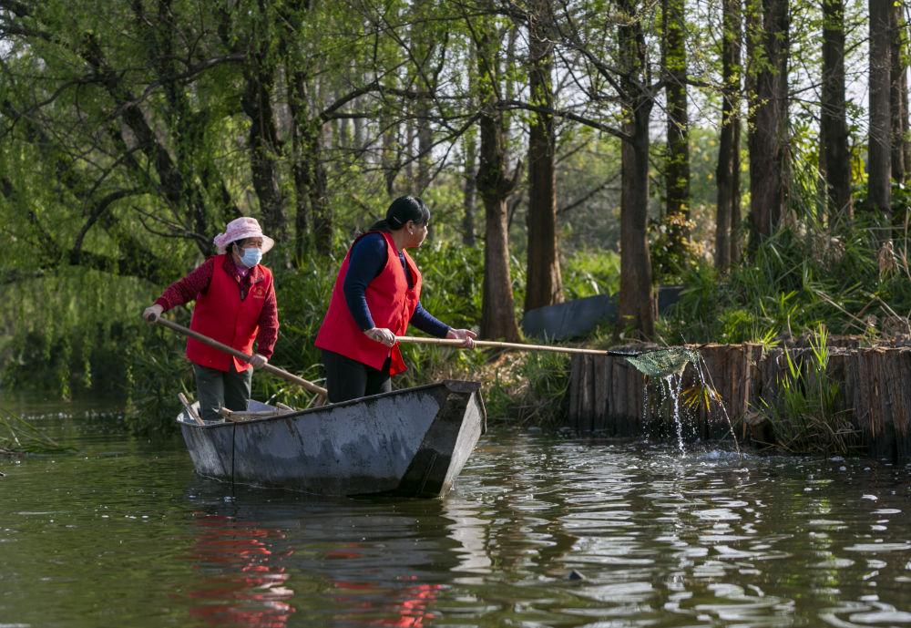 守护滇池三十余载！致敬巾帼打捞队1.jpg