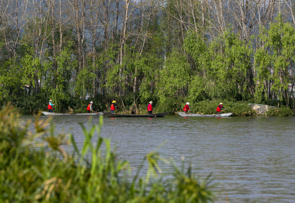 守护滇池三十余载！致敬巾帼打捞队2.jpg