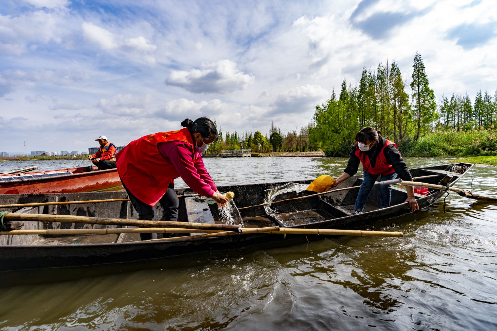 守护滇池三十余载！致敬巾帼打捞队8.jpg