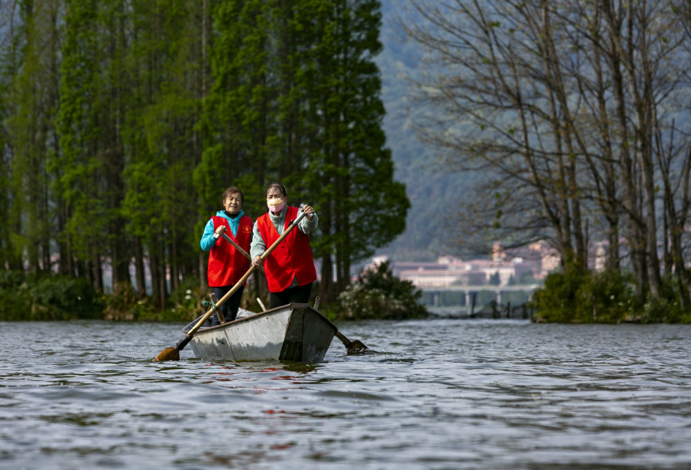 守护滇池三十余载！致敬巾帼打捞队12.jpg