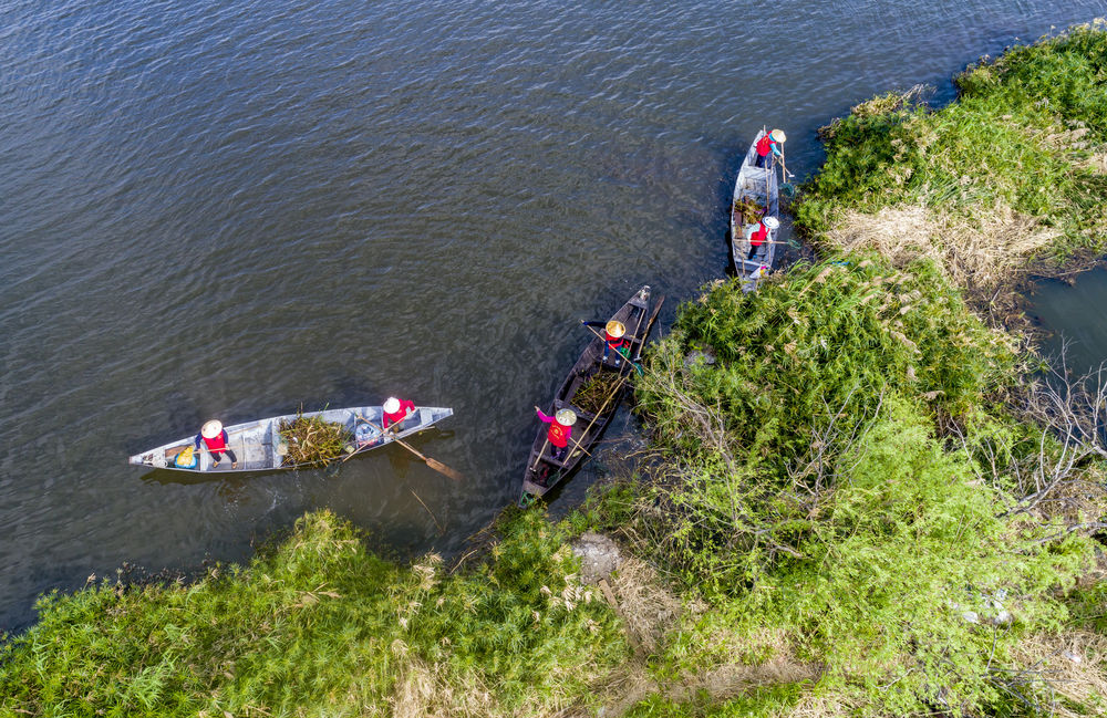 守护滇池三十余载！致敬巾帼打捞队11.jpg