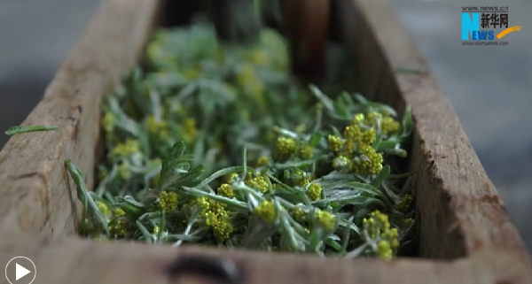 QQ截图20230404101732