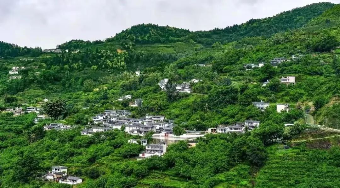 1680832905922791.jpg 640.jpg