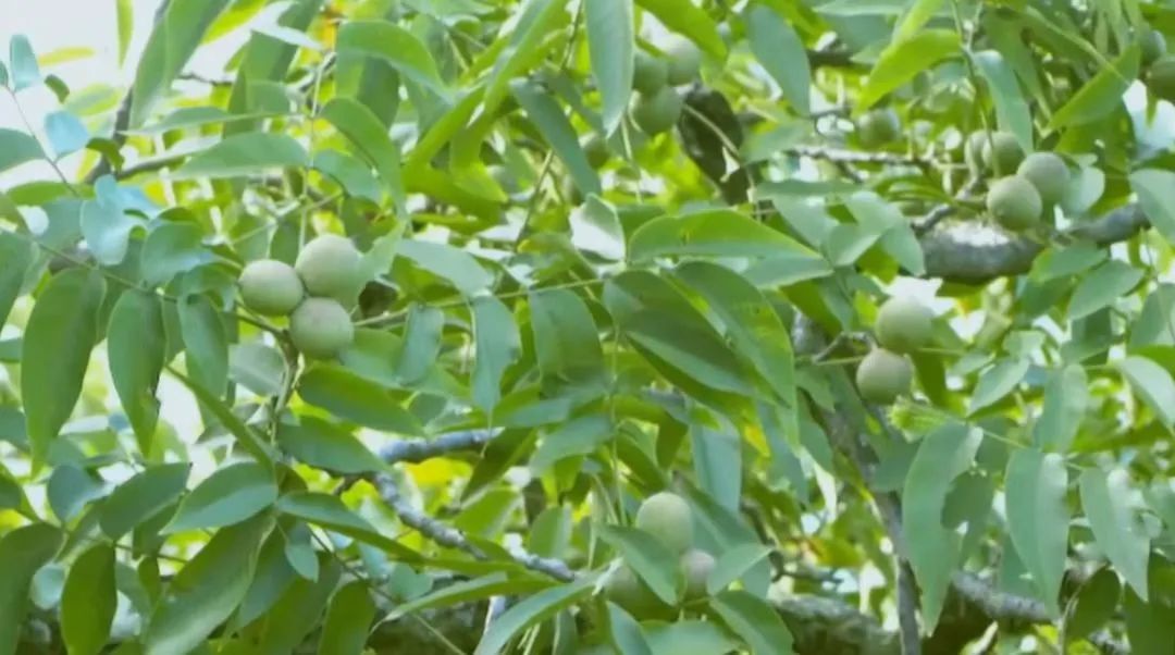 1680832911218678.jpg 640 (1).jpg