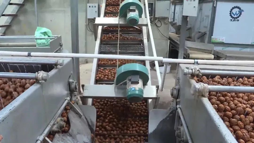 1680832920149009.jpg 640 (2).jpg