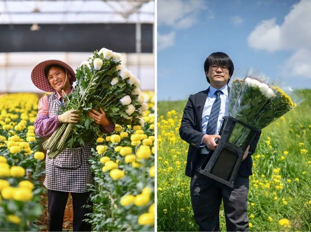 云花（图源 新华社）