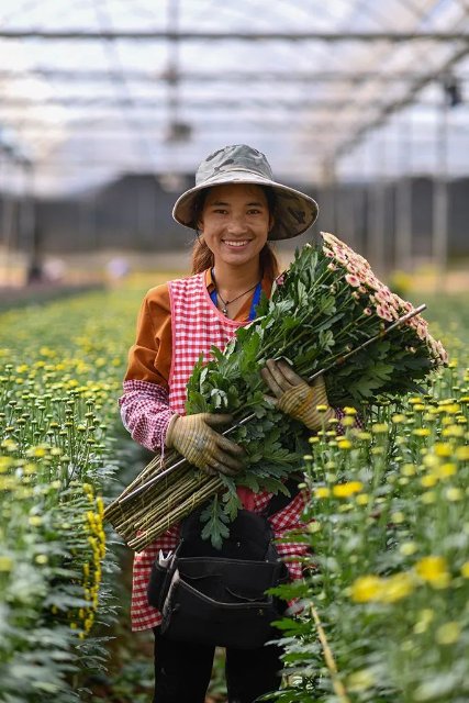 云花（图源 新华社）