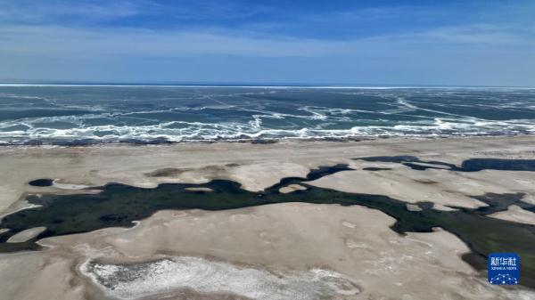 春临青海湖 春临青海湖