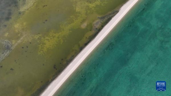 春临青海湖 春临青海湖