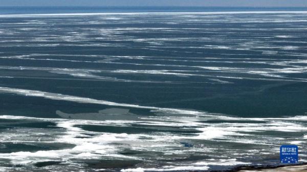 春临青海湖 春临青海湖