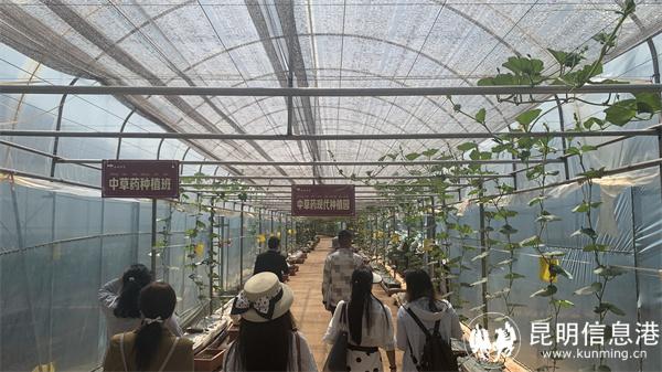 微信图片_20230518120113