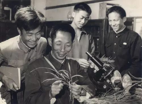 河南省档案馆发现袁隆平生辰新证