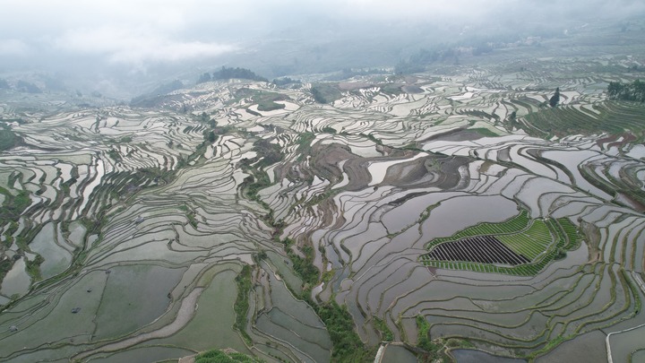 1129640662_16848497247741n