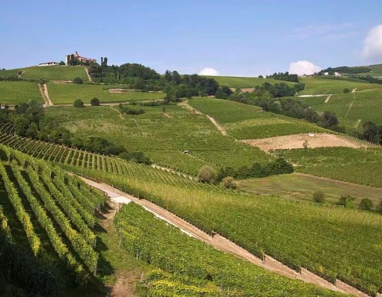 1129640662_16848497247761n