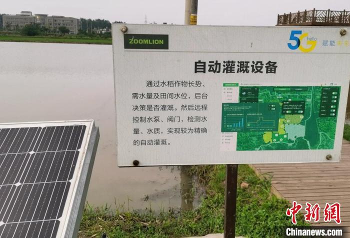 621bd01f-a6eb-476d-8f58-b31368bd5328_zsite