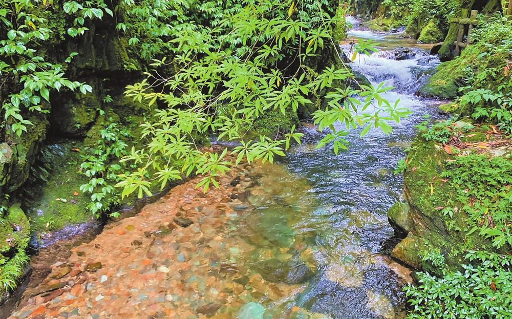 新平哀牢山景区内的溪流 新平哀牢山景区内的溪流
