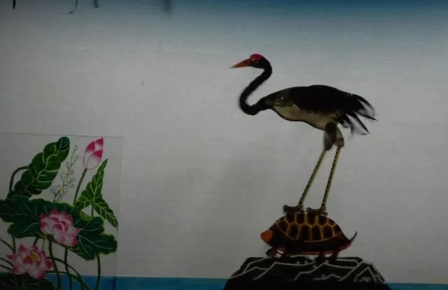 《龟与鹤》剧照.jpg