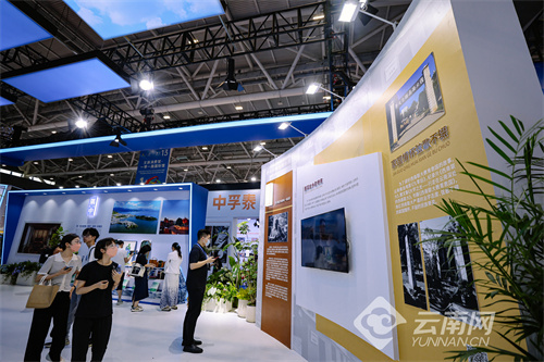 深圳文博会落幕,云南精彩掠影深入人心7.jpg
