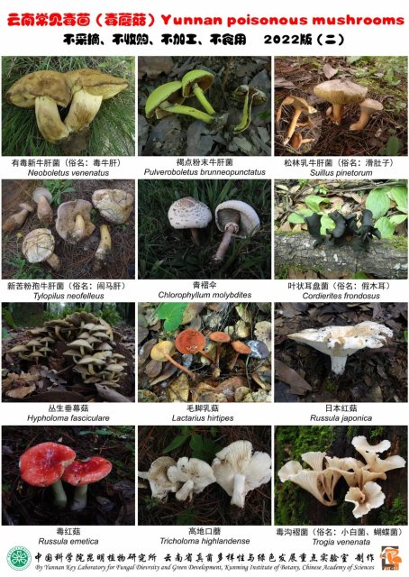 微信图片_20230613155756.jpg