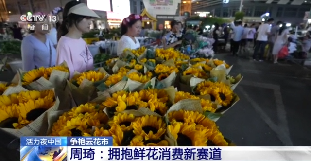 央视聚焦云南斗南花卉交易市场16.png