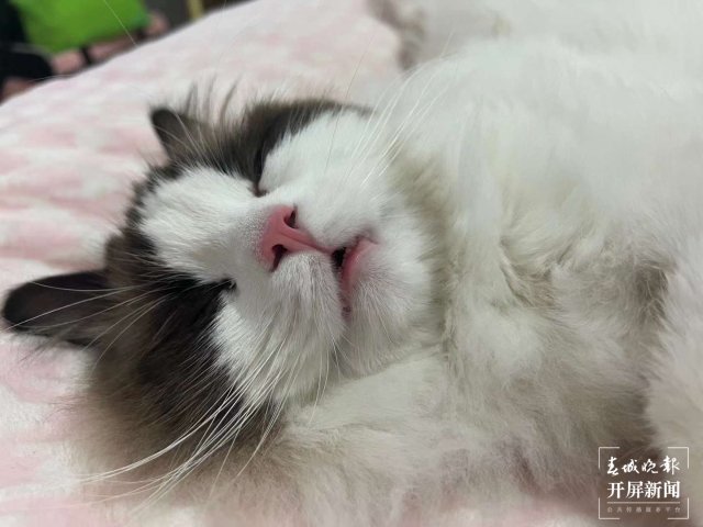 世界睡眠日