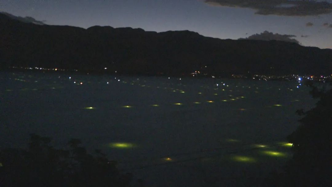 Still0705_00000.jpg 图片