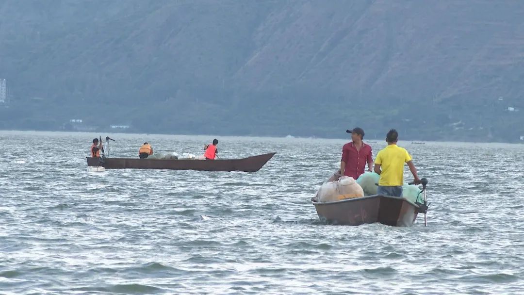 Still0705_00010.jpg 图片