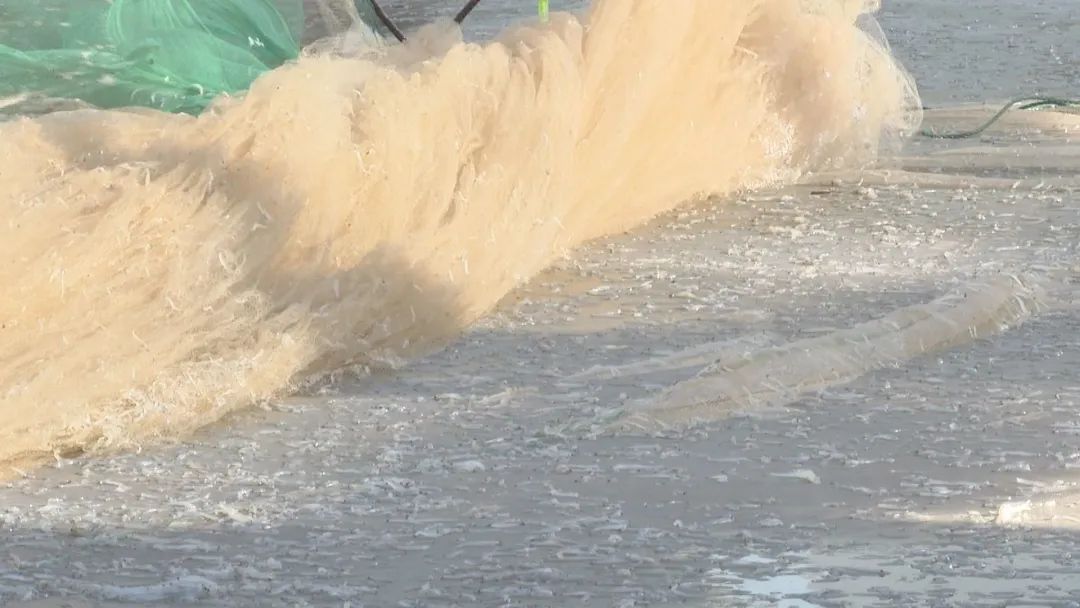 Still0705_00013.jpg 图片