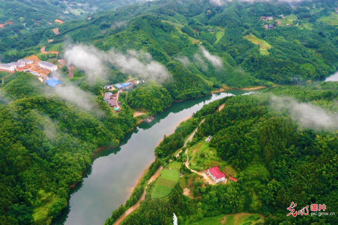 碧水蓝天 绘就万物共生生态画卷