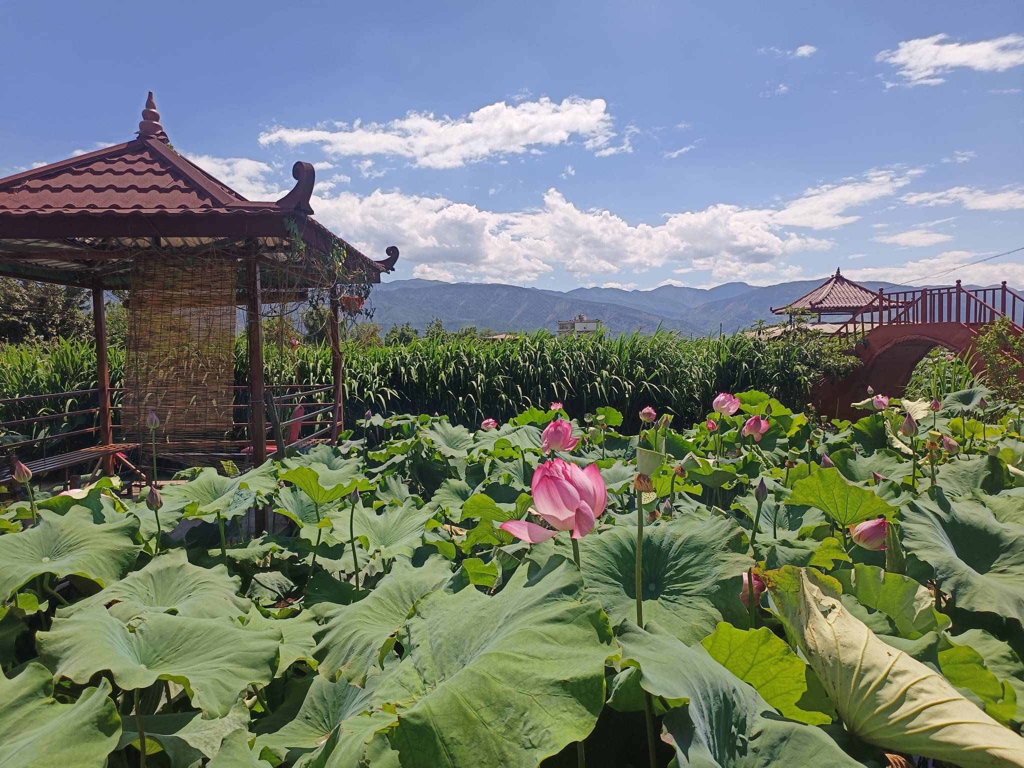 12793_6a376d09-4c2b-425d-aaeb-4457e2a0d050