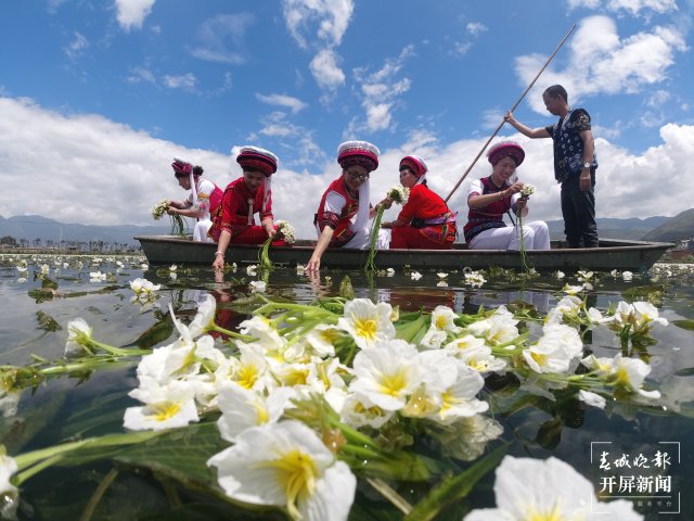 从3到12！海菜贮藏保鲜难题在大理洱源取得重要技术突破 (12).jpg