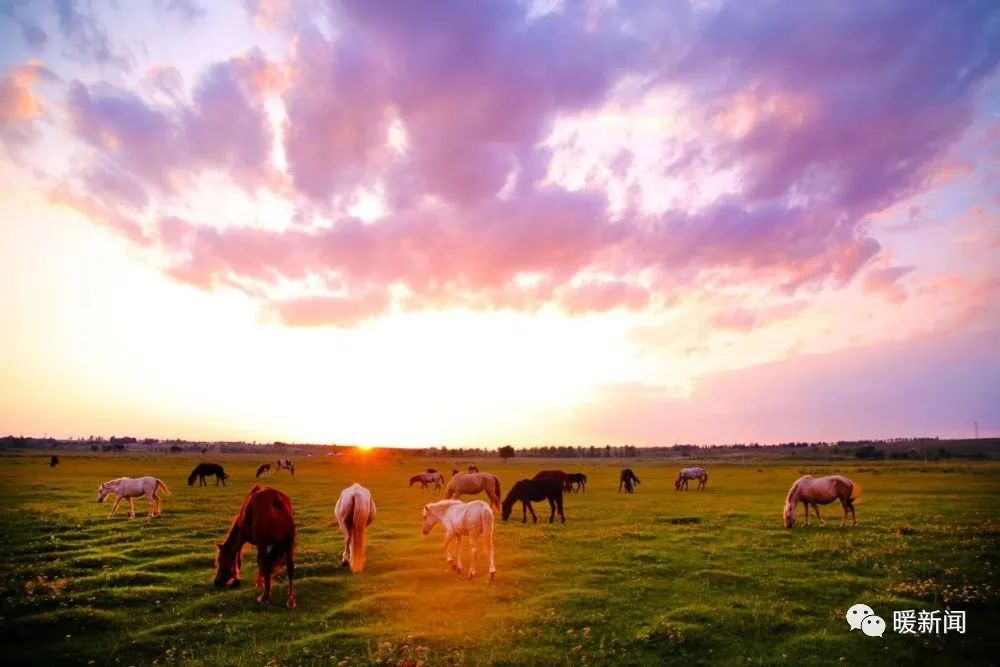 鄂尔多斯:千年古城,风华正茂