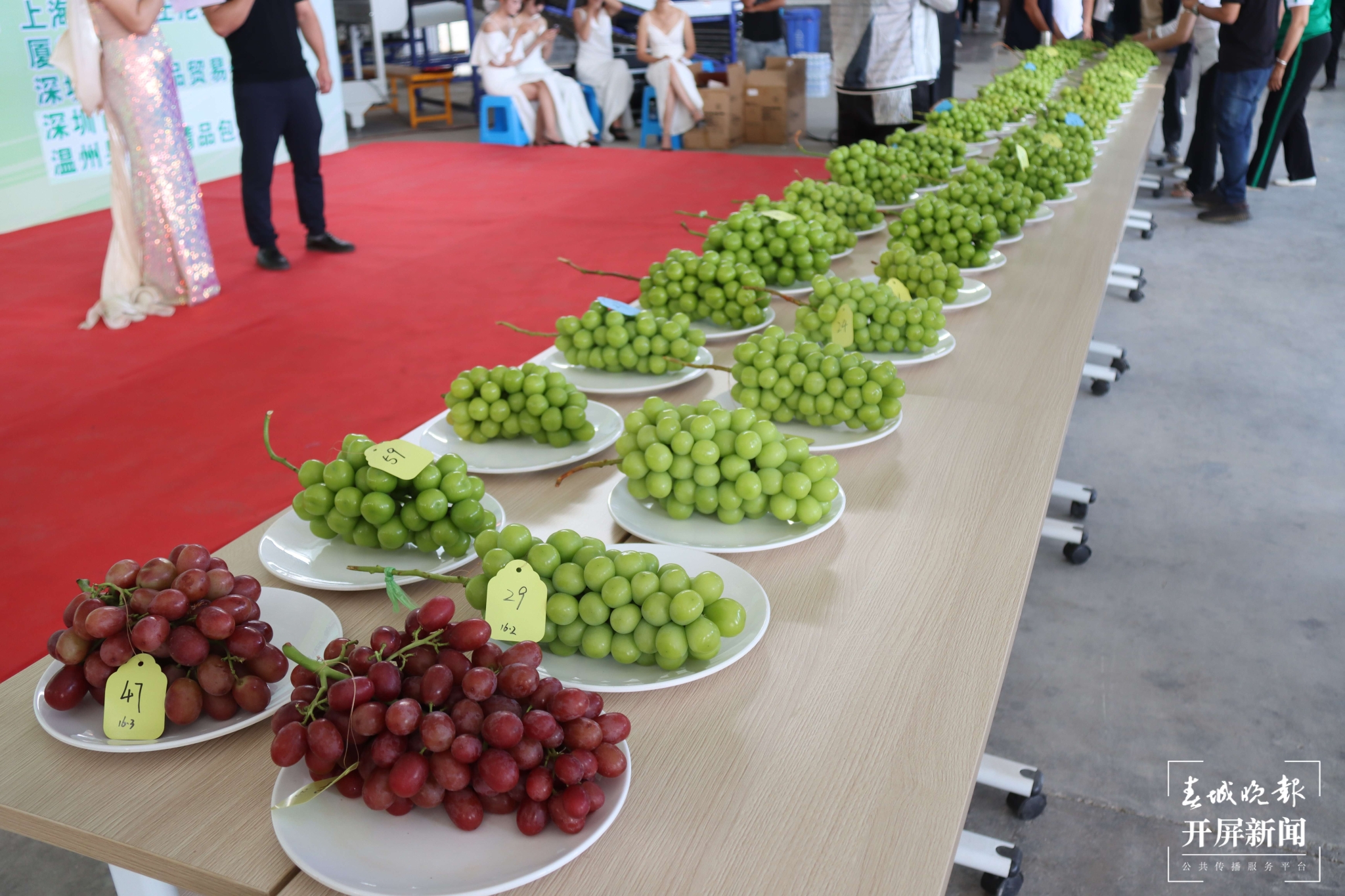 (昆滇传内容)品评风味!大理宾川60位“葡萄种植达人”同台PK (3).JPG