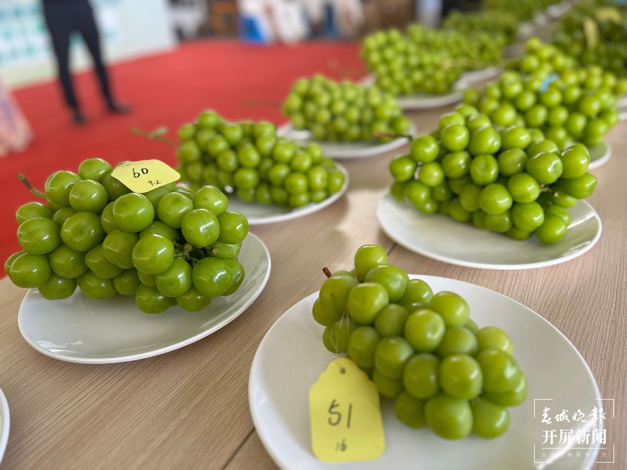 (昆滇传内容)品评风味!大理宾川60位“葡萄种植达人”同台PK (2).jpg