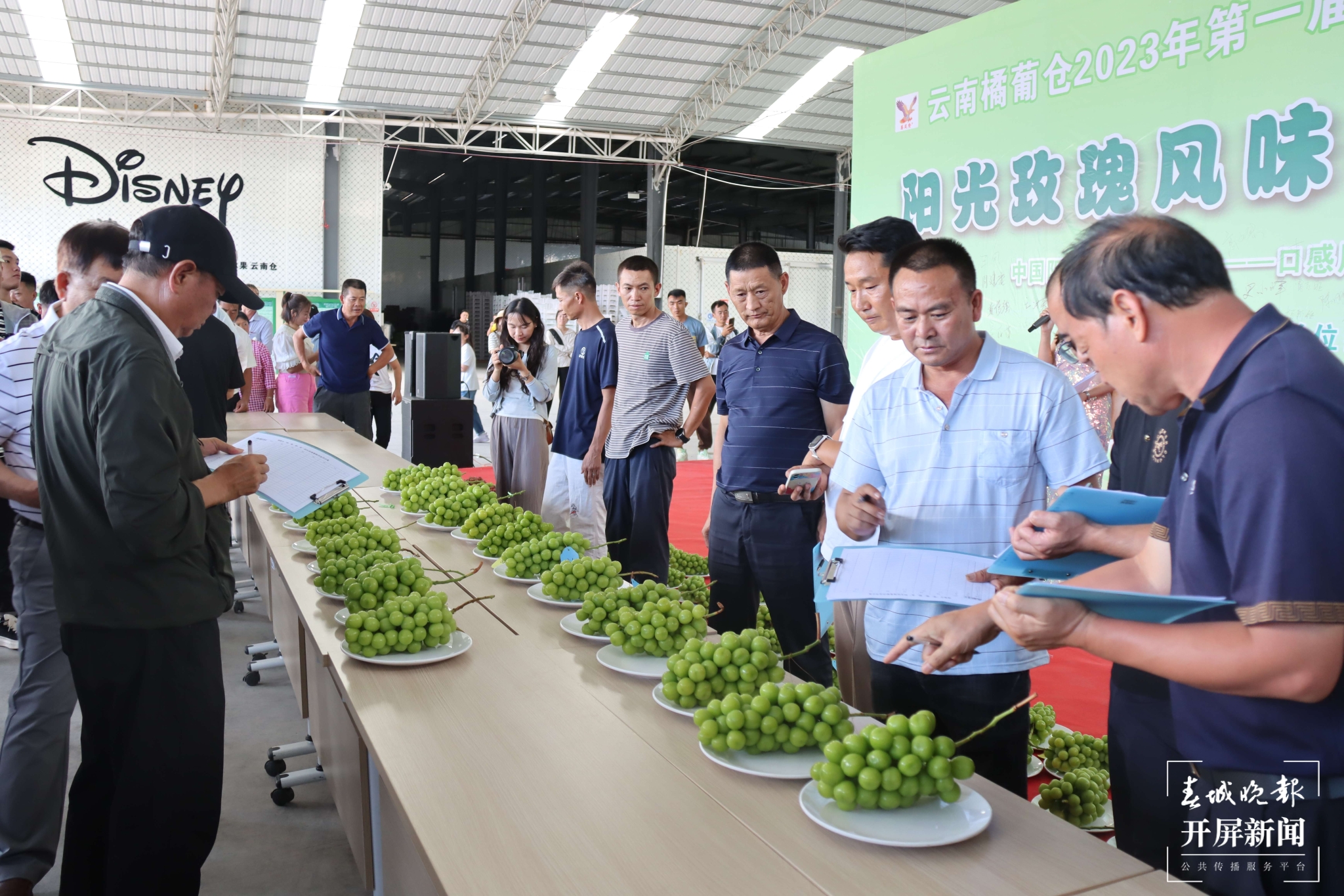 (昆滇传内容)品评风味!大理宾川60位“葡萄种植达人”同台PK (6).JPG