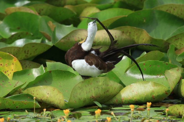 梳妆赵辉摄 (3).JPG