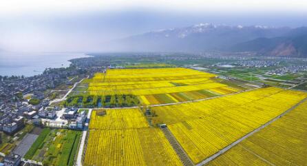 银苍玉洱好风光 通讯员 杨继培 摄