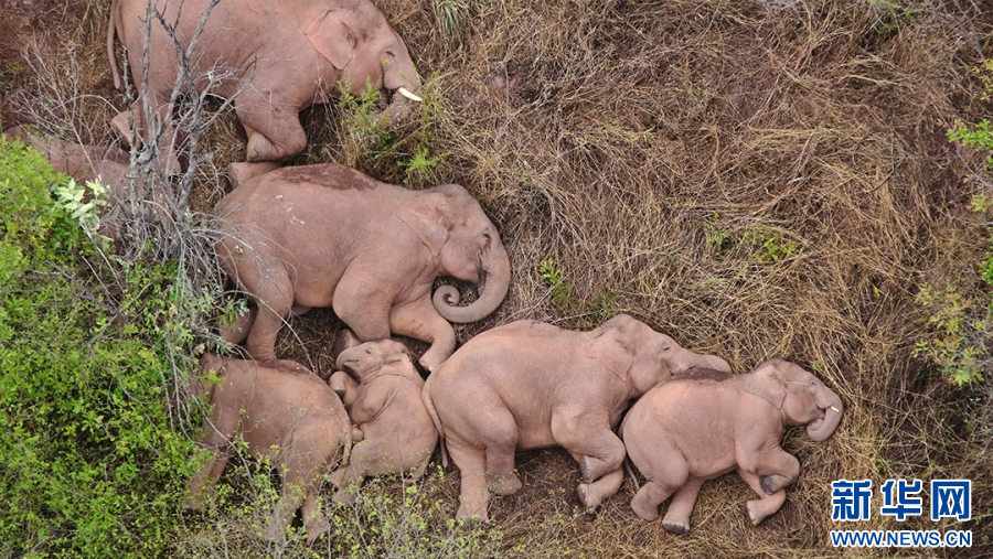 c90d423cd1c149d1983630030a9cc9d1 c90d423cd1c149d1983630030a9cc9d1