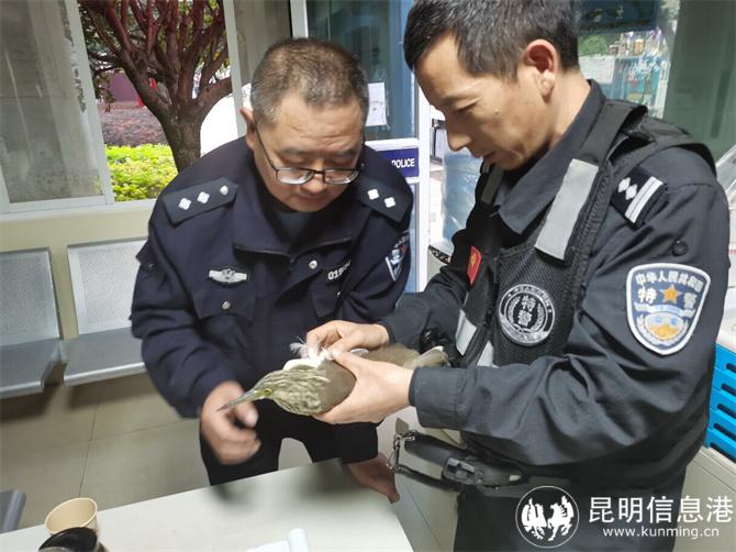 微信图片_20231024104928 微信图片_20231024104928