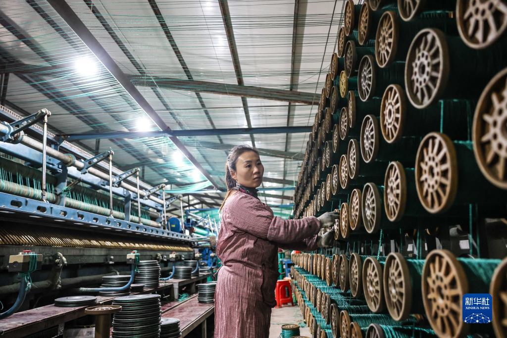 1130006298_17015920277531n