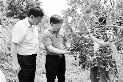 3746352_zhangjy_1702623627971_b